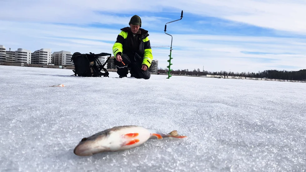 Johnny Decker är ofta ute på Stadsfjärden för att fiska. Vissa dagar nappar det väldigt bra och det är sällan det blir helt fisklöst i väskan.
