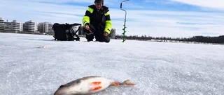 Pimpling i solen – garanterat coronafritt