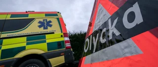 Rörigt i trafiken efter älgolycka på riksväg 55