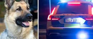 Koppartjuv spårades upp av polishund – greps på bar gärning