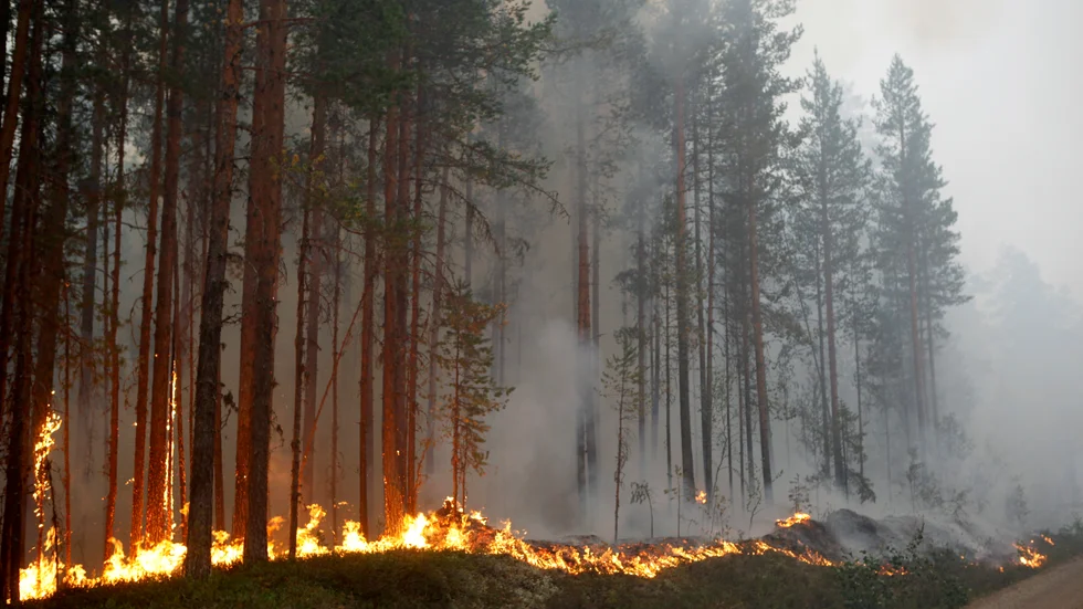 A-kasseregler kan leda till brist på räddningspersonal vid skogsbränder, varnar bland andra SKR.