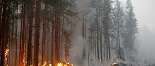 A-kasseregler kan leda till brist på brandmän