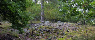 Hantera Kungshamn-Morga varsamt