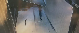 Kraschade hiss och satte sig i soffan hos exets granne