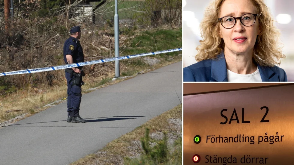 Elisabeth Lager, lagman vid Norrköpings tingsrätt, förklarar varför domstolarna ofta dömer straff i den nedre delen av straffskalan.