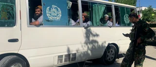 Snabb minskning av USA-trupper i Afghanistan