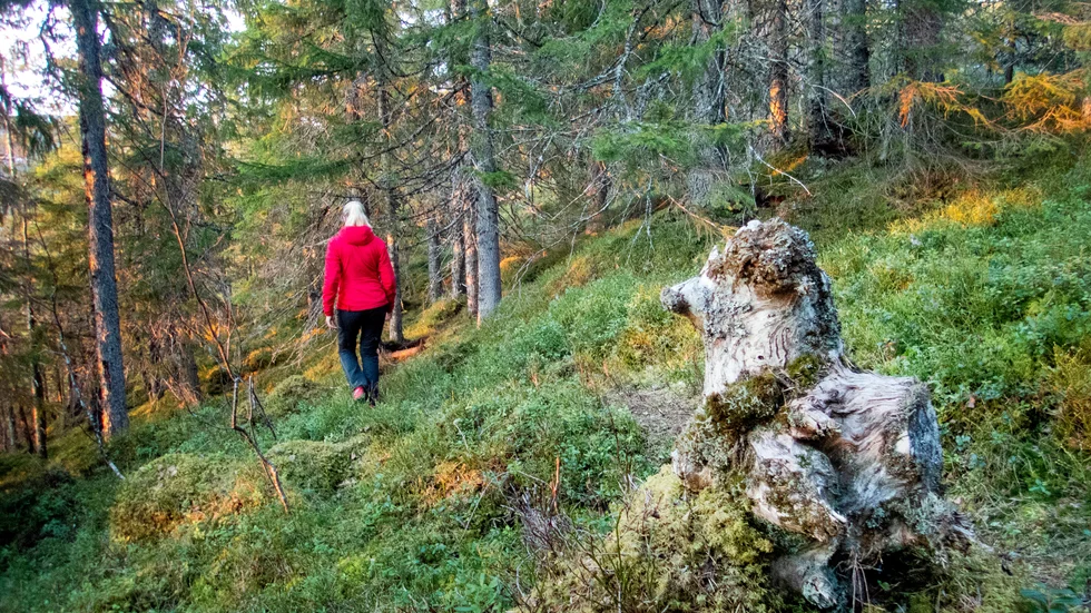 Friluftslivet i vårt län har stor utvecklingspotential.