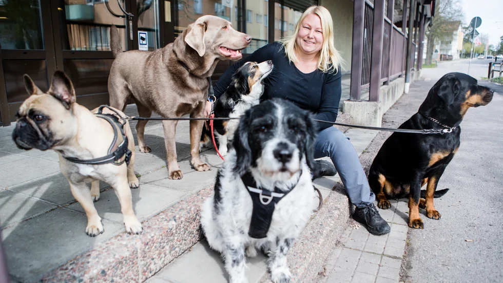 Bosse, Malle, Lena, Morris och Chava verkar uppskatta sina nya lokaler och sin dagmatte Linda Mårtensson.Ett 20-tal hundar är för närvarande inskrivna på hunddagiset Tassa in. 