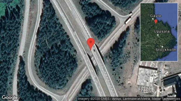 Rådjur på vägen på E4