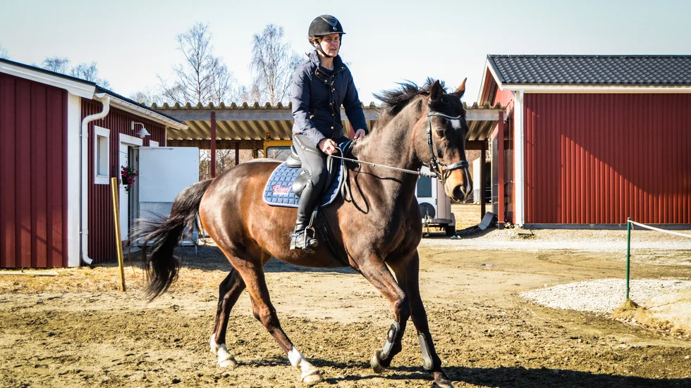 "Det nya svarta är också att ta betalt för själva provridningen. Kort sagt ska jag alltså betala för att prova vad jag eventuellt ska lägga ut tre månadslöner på", skriver Angelica Forsberg i dagens krönika.