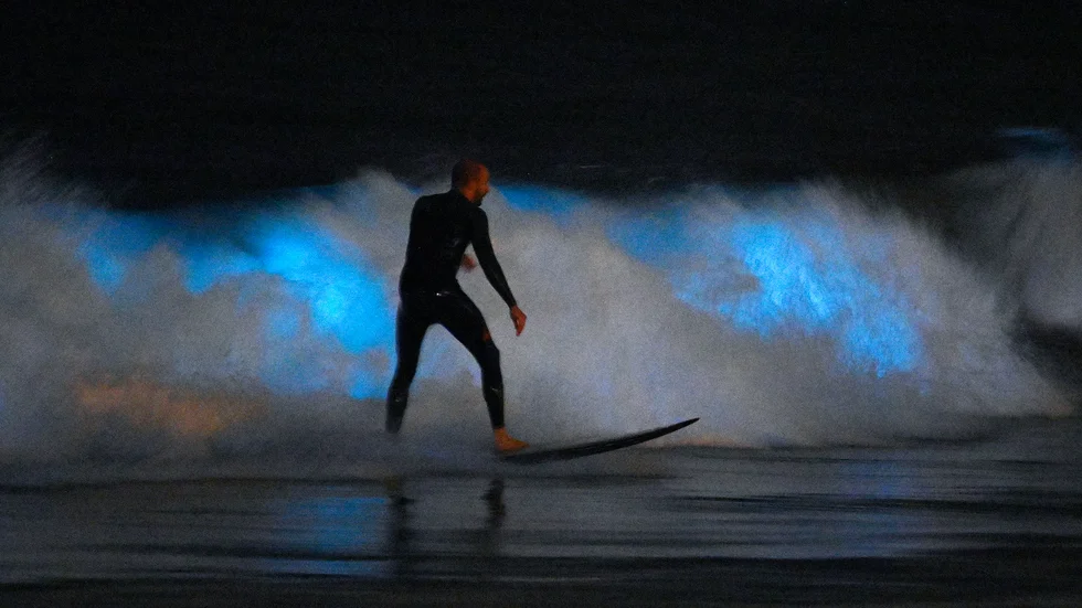 Marelden lyser upp surfvågorna i Kalifornien.