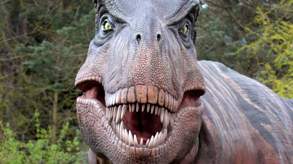 En kopia av en Tyrannosaurus rex, dinosaurien T-rex, som finns på Woodland Park Zoo i Seattle i USA. Arkivbild.