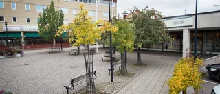 Rättigheten att kunna påverka i Gnesta