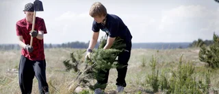 Här är de vanligaste arbetsolyckorna för sommarjobbare • Tipsen för att jobba säkrare