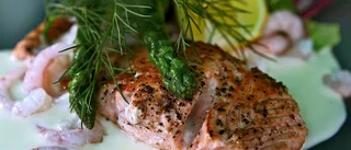 Fina fisken