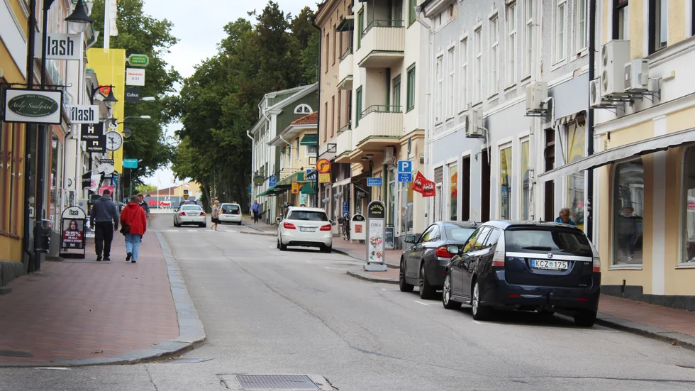 Med det nya stödprojektet vill föreningen Fastighetsägare i Västervik så ett frö, sedan är det upp till handlarna vad det blir av allt.