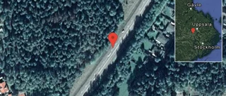 Fallna träd skapar problem i trafiken på väg 55