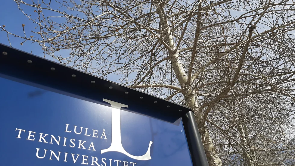 LTU:s disciplinnämnd har hanterat ett antal fall där elever fuskat.