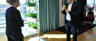 Här fattas alla regionens coronabeslut