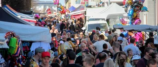 133 intäktsmiljoner saknas enligt rapport