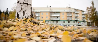 Insändare: Äldreboendet på Erikslid måste byggas 