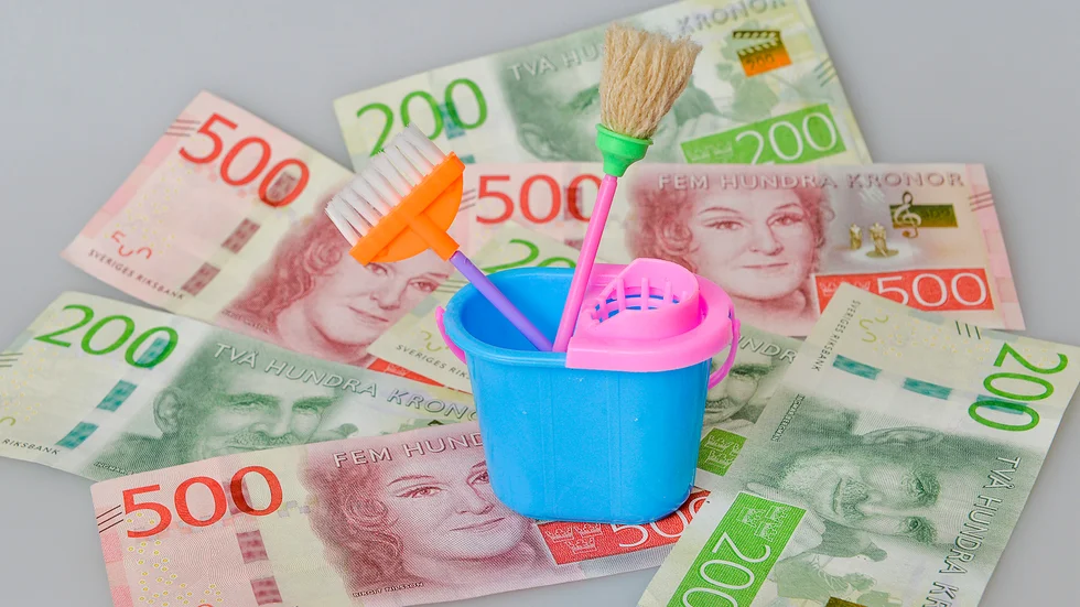 Rut-avdraget har i allt väsentligt varit en lyckad reform.
