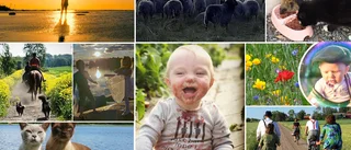 Skicka in dina finaste sommarbilder – var med och tävla om fina priser