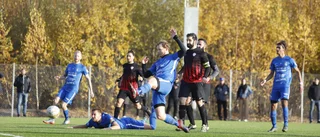 Primavera lägger ned efter tolv år: "Gick lite för bra"