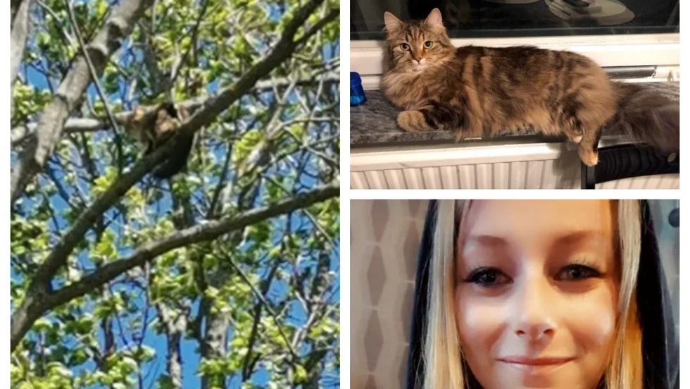 Alexandra Kirch drog igång räddningsinsatsen för Rocket. Den slutade lyckad.