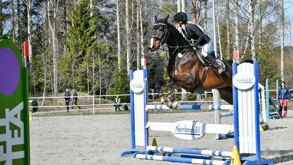 Frida Lidman, KDRF, och hennes häst ­Custer fårbörja tävla igen.