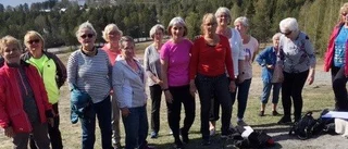 Luleå Ladies provar nya grepp för att träffas