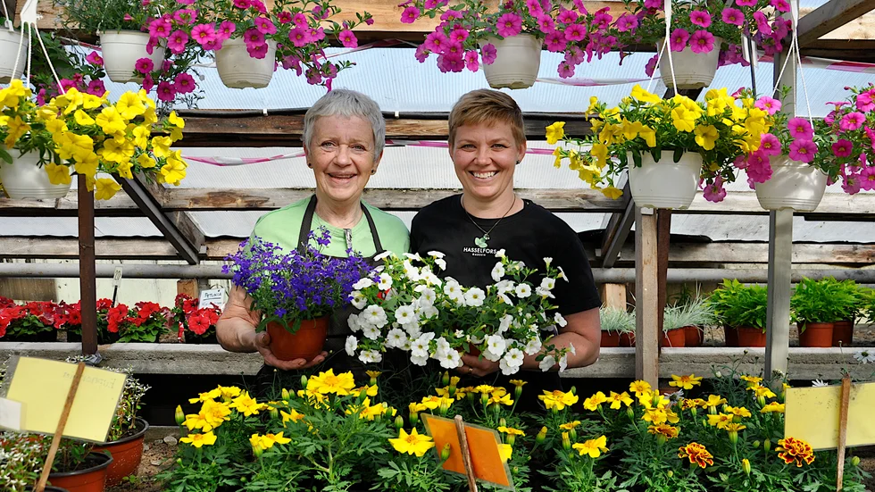 Ulla och Lena Jansson, mor och dotter, jobba sida vid sida i familjeföretaget Hedströms Trädgård. "Jag är glad varje dag jag går till jobbet", säger Lena Jansson.
