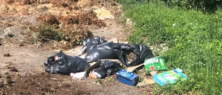 Sopdumpning fortsätter på ristipparna - kan läggas ner