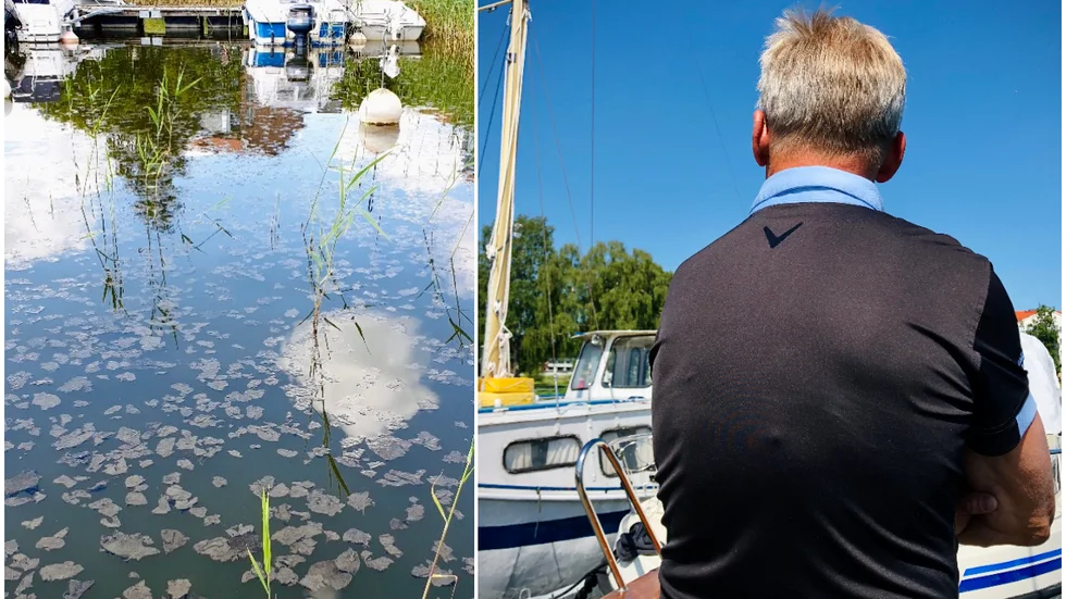 Båtägaren upptäckte fullt med toapapper i småbåtshamnen torsdagen före midsommar. 