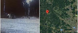Nytt vargrevir utanför Uppsala