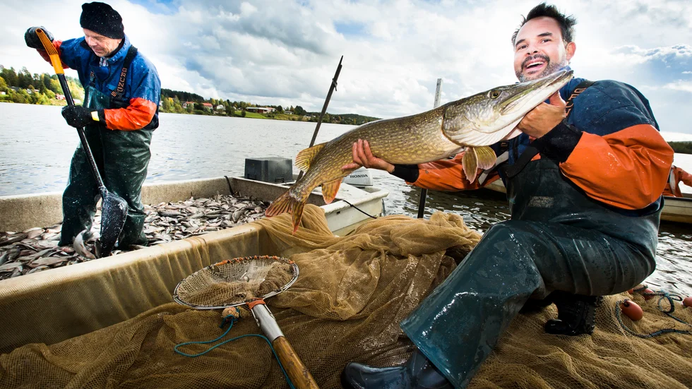 Magnus Böklin med en gädda som Robert Westin ( ej med på bild) uppskattade vägde 7,5 kilo. ”Skynda” sa Magnus Böklin till fotografen. Arkivbild.