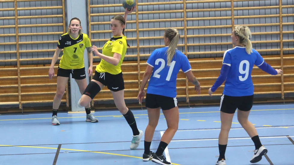 Kanske kan VIF Gutes handbollslag få spela klart serien i år.