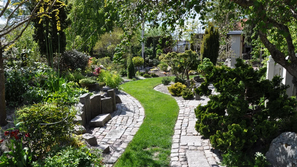 En 6000 kvadratmeter stor samlinigsträdgård med många rum och blickfång är paret Stenströms eget paradis. Välkommen in 28 juni!
