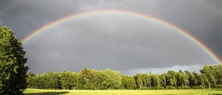 Skicka in dina finaste sommarbilder – var med och tävla