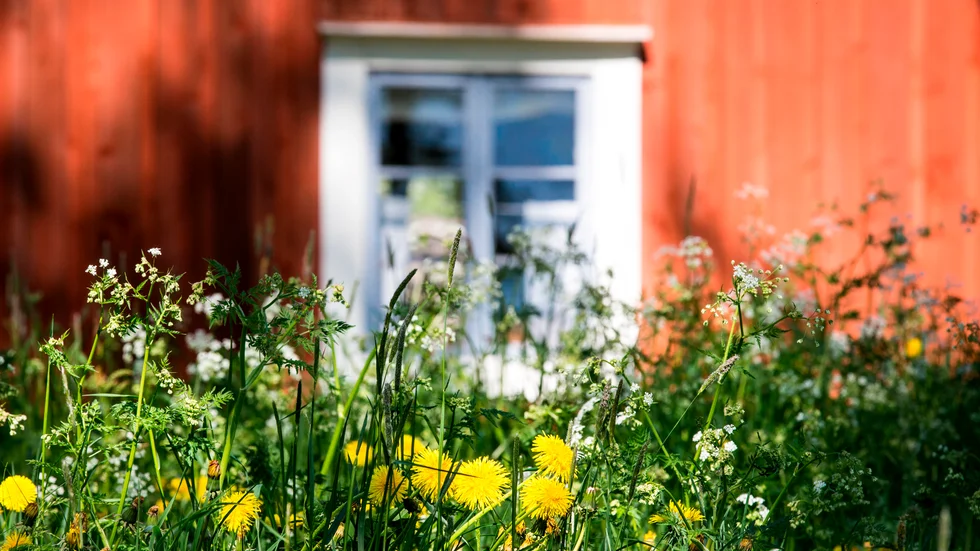 Många kommer att semestra runt om i Sverige i sommar. Det är högt tryck på att hyra stuga.