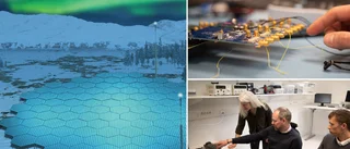 De bidrar till klimatforskning genom jätteradarsystem
