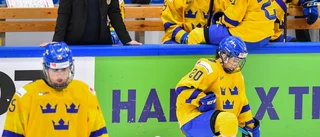 Bakgrund: Stormarna kring ishockeyförbundet