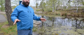 Strömmingen hänger på en skör tråd • Ändå tillåts hårdare fiske nästa år: "Som en smäll på käften"