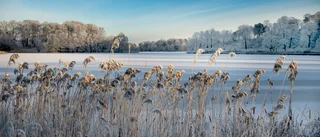 Naturens häpnadsväckande skönhet