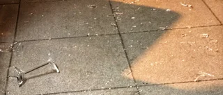 Elva års fängelse för krogskjutningen