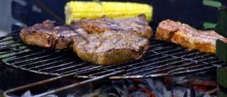 Grillade mitt i vintern – orsakade utryckning