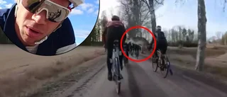 Här dyker hjorten upp – mitt i cykelklungan