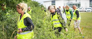 Polisen: "Vi fick in oerhört många tips"