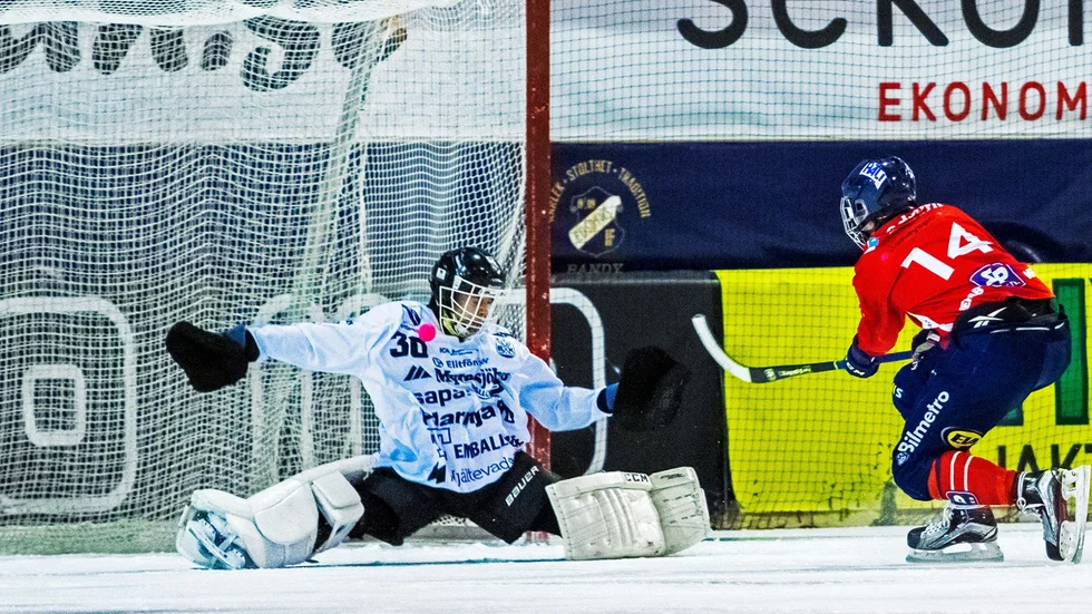 Joel Snäll