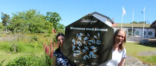 Så blir det med aktiviteter på Kulbacken i sommar